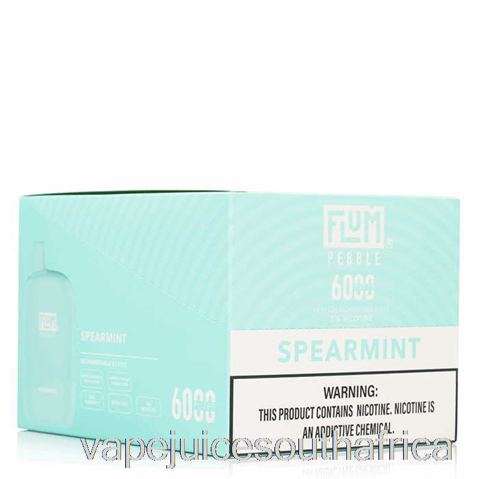 Vape Juice South Africa [10-Pack] Flum Pebble 6000 Disposable